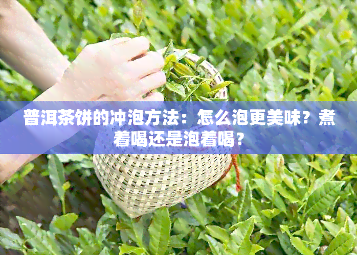 普洱茶饼的冲泡方法：怎么泡更美味？煮着喝还是泡着喝？