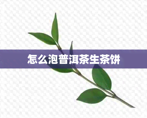 怎么泡普洱茶生茶饼