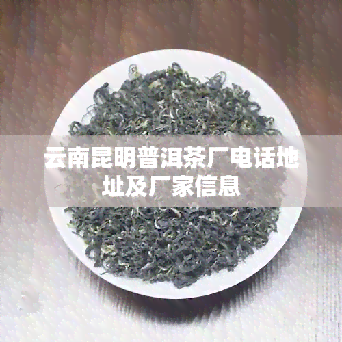 云南昆明普洱茶厂电话地址及厂家信息