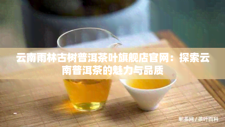 云南雨林古树普洱茶叶旗舰店官网：探索云南普洱茶的魅力与品质