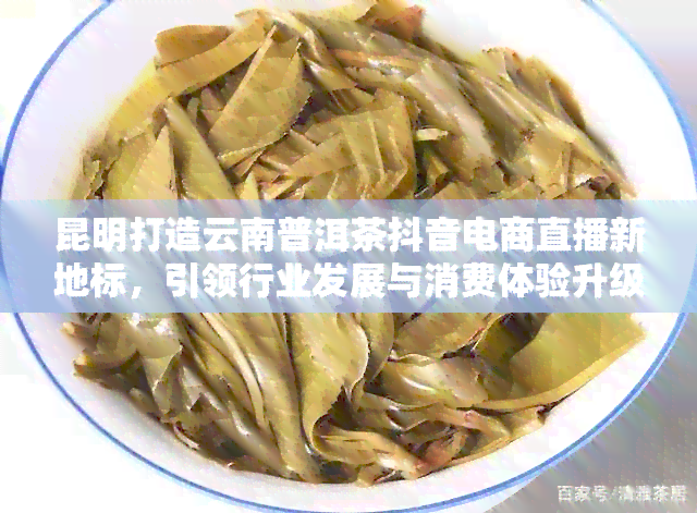 昆明打造云南普洱茶抖音电商直播新地标，引领行业发展与消费体验升级