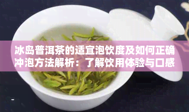 冰岛普洱茶的适宜泡饮度及如何正确冲泡方法解析：了解饮用体验与口感