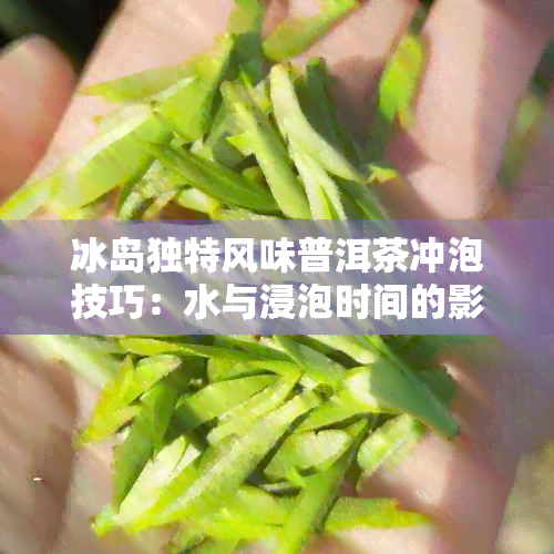 冰岛独特风味普洱茶冲泡技巧：水与浸泡时间的影响