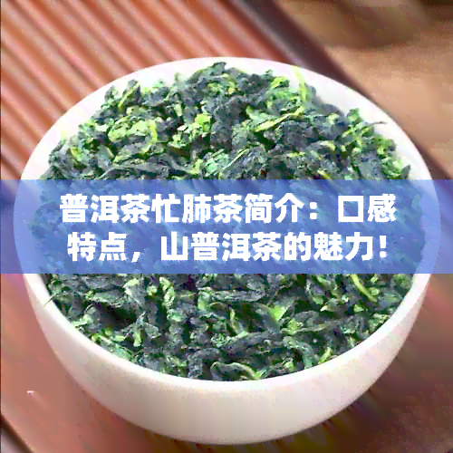 普洱茶忙肺茶简介：口感特点，山普洱茶的魅力！