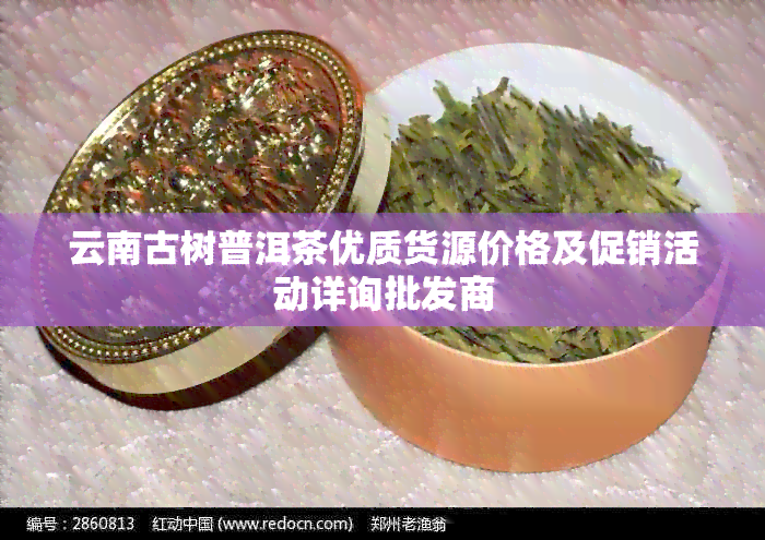 云南古树普洱茶优质货源价格及促销活动详询批发商