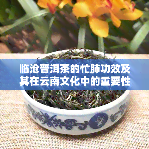 临沧普洱茶的忙肺功效及其在云南文化中的重要性