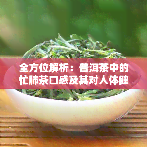 全方位解析：普洱茶中的忙肺茶口感及其对人体健的影响