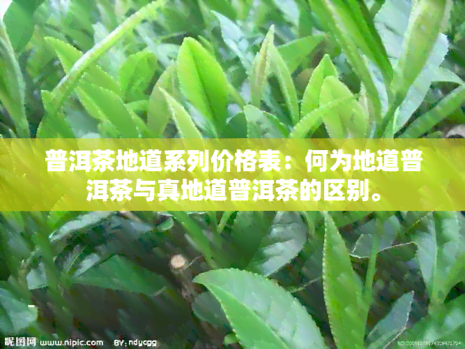 普洱茶地道系列价格表：何为地道普洱茶与真地道普洱茶的区别。