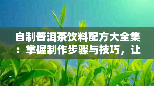 自制普洱茶饮料配方大全集：掌握制作步骤与技巧，让你轻松拥有美味茶饮