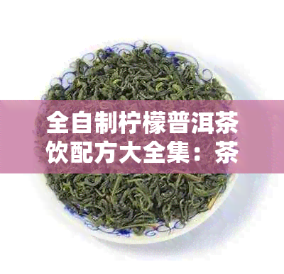 全自制柠檬普洱茶饮配方大全集：茶饮与健的理想融合