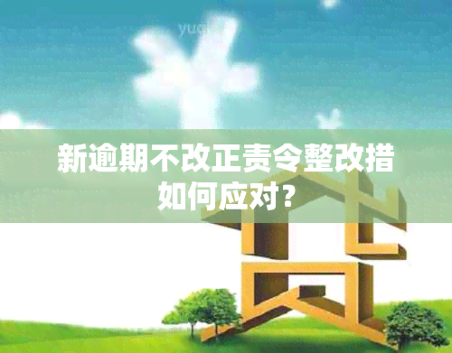 新逾期不改正责令整改措如何应对？