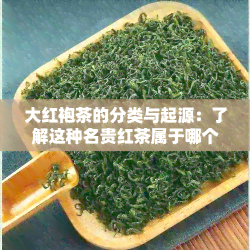 大红袍茶的分类与起源：了解这种名贵红茶属于哪个茶系