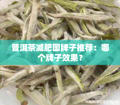 普洱茶减肥国牌子推荐：哪个牌子效果？