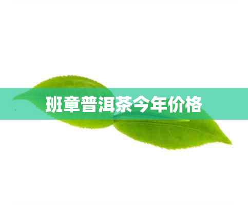 班章普洱茶今年价格