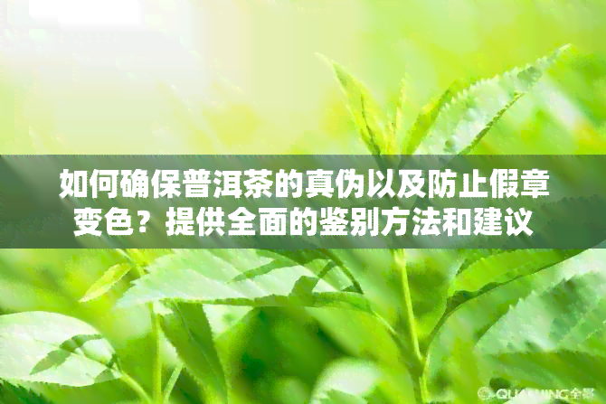 如何确保普洱茶的真伪以及防止假章变色？提供全面的鉴别方法和建议