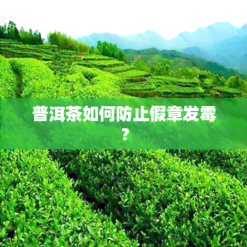 普洱茶如何防止假章发霉？