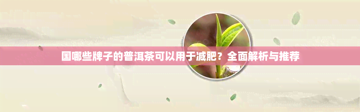 国哪些牌子的普洱茶可以用于减肥？全面解析与推荐