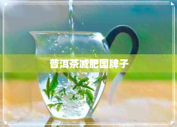 普洱茶减肥国牌子