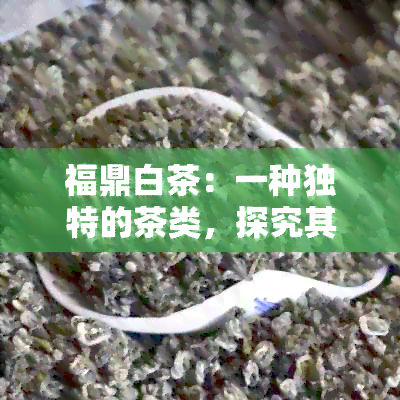 福鼎白茶：一种独特的茶类，探究其性质及功效