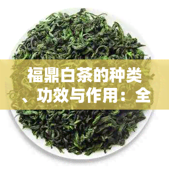 福鼎白茶的种类、功效与作用：全面了解这种茶的魅力