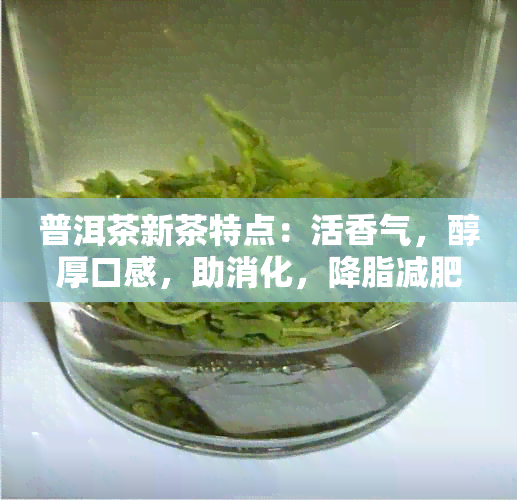 普洱茶新茶特点：活香气，醇厚口感，助消化，降脂减肥。