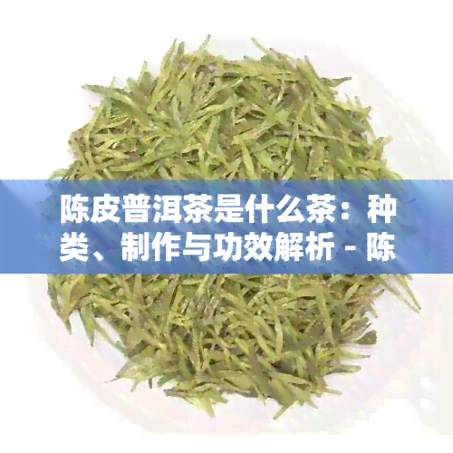 陈皮普洱茶是什么茶：种类、制作与功效解析 - 陈皮普洱茶百科