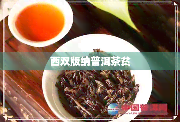 西双版纳普洱茶贫