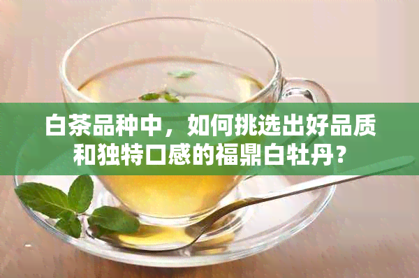 白茶品种中，如何挑选出好品质和独特口感的福鼎白牡丹？