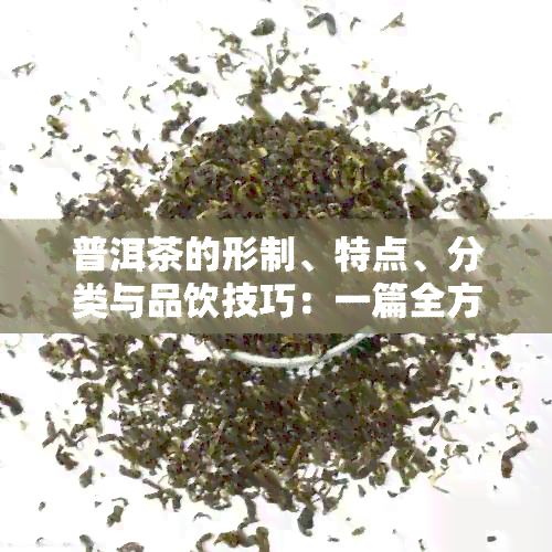 普洱茶的形制、特点、分类与品饮技巧：一篇全方位解析普洱茶的全面指南