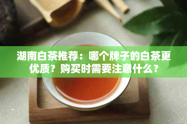 湖南白茶推荐：哪个牌子的白茶更优质？购买时需要注意什么？