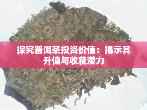 探究普洱茶投资价值：揭示其升值与收藏潜力