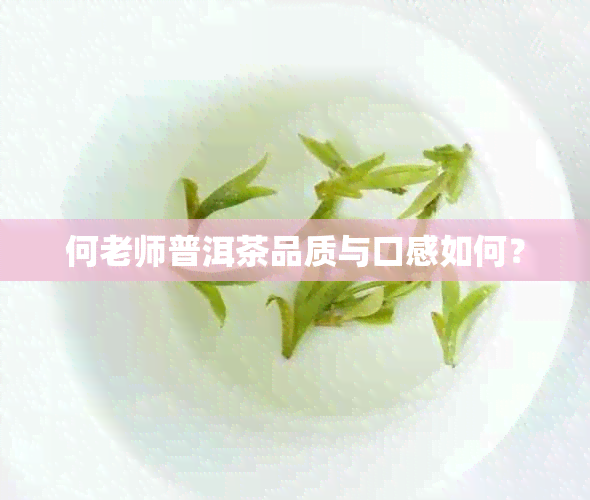 何老师普洱茶品质与口感如何？