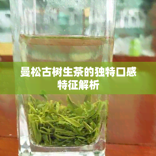 曼松古树生茶的独特口感特征解析