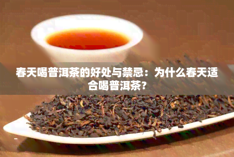 春天喝普洱茶的好处与禁忌：为什么春天适合喝普洱茶？