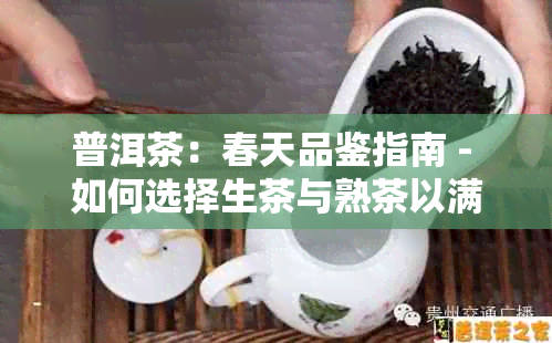 普洱茶：春天品鉴指南 - 如何选择生茶与熟茶以满足不同口味需求