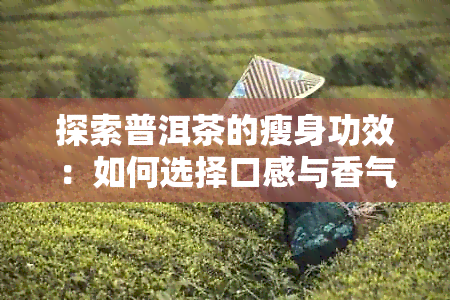 探索普洱茶的瘦身功效：如何选择口感与香气兼具的健好茶？