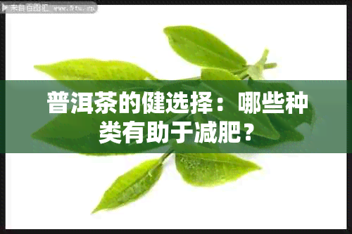 普洱茶的健选择：哪些种类有助于减肥？