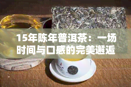 15年陈年普洱茶：一场时间与口感的完美邂逅