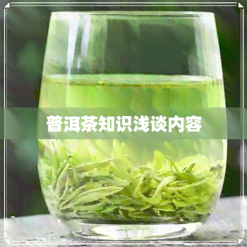 普洱茶知识浅谈内容