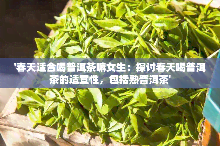 '春天适合喝普洱茶嘛女生：探讨春天喝普洱茶的适宜性，包括熟普洱茶'