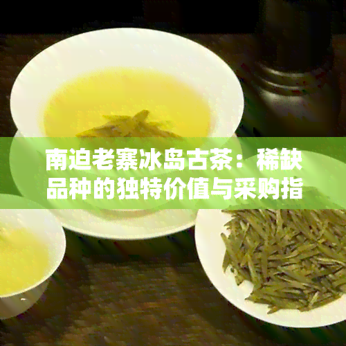 南迫老寨冰岛古茶：稀缺品种的独特价值与采购指南