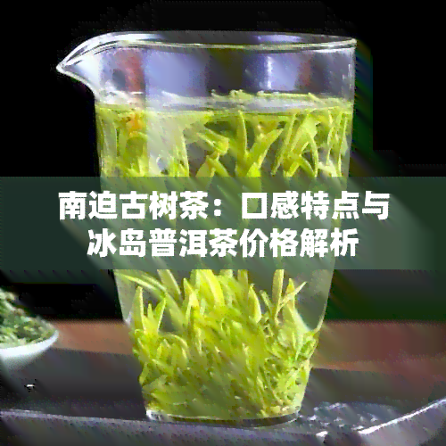 南迫古树茶：口感特点与冰岛普洱茶价格解析