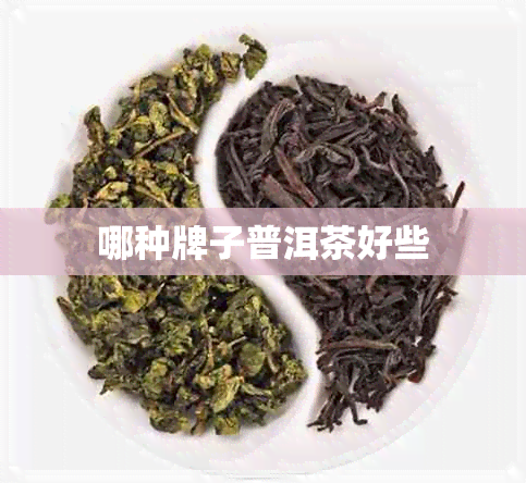 哪种牌子普洱茶好些