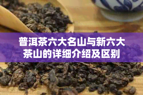 普洱茶六大名山与新六大茶山的详细介绍及区别