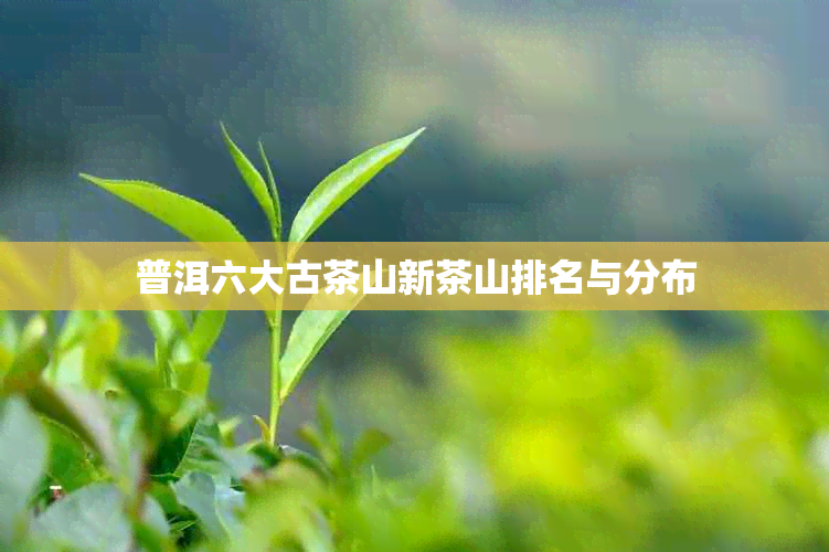 普洱六大古茶山新茶山排名与分布