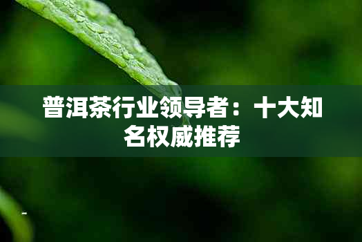 普洱茶行业领导者：十大知名权威推荐