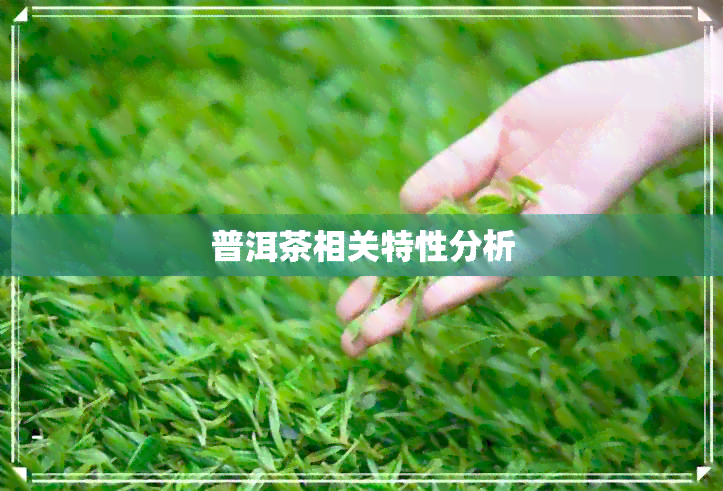 普洱茶相关特性分析