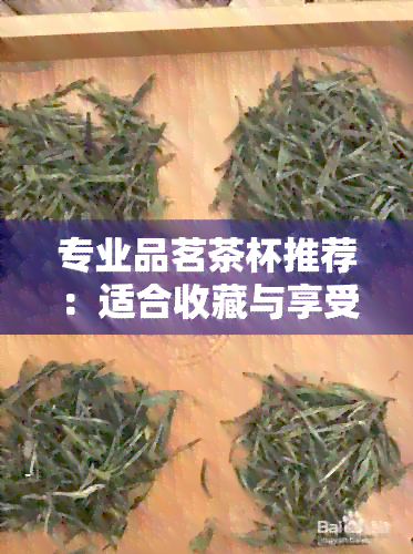 专业品茗茶杯推荐：适合收藏与享受普洱茶的完美茶具