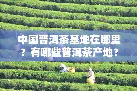 中国普洱茶基地在哪里？有哪些普洱茶产地？