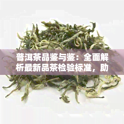 普洱茶品鉴与鉴：全面解析最新品茶检验标准，助您成为专业茶客